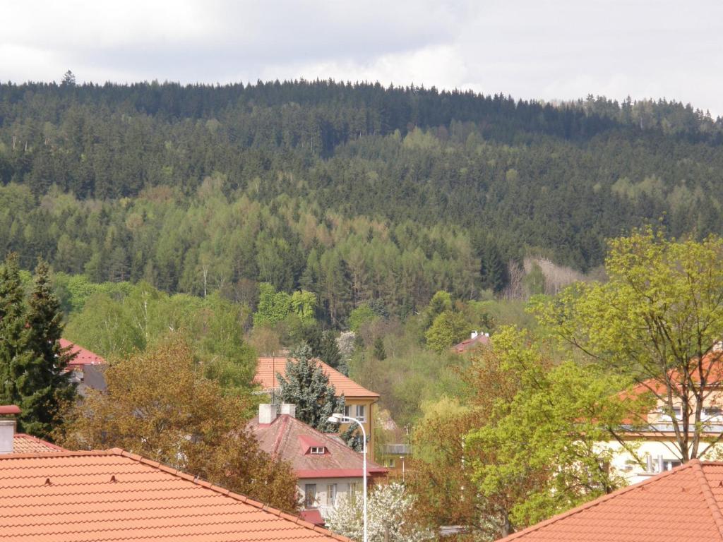 Apartments Meixner Mariańskie Łaźnie Zewnętrze zdjęcie